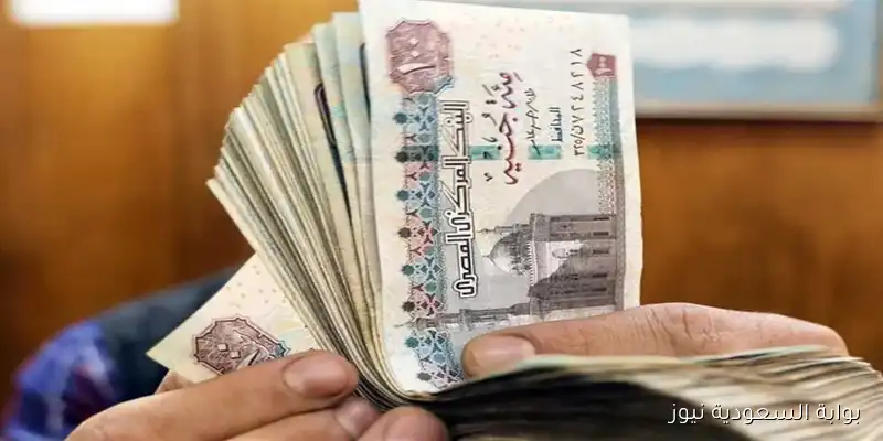 nosi.gov.eg رابط الاستعلام عن زيادة المعاشات 2025 بالاسم وجدول شرائح التأمينات الجديد