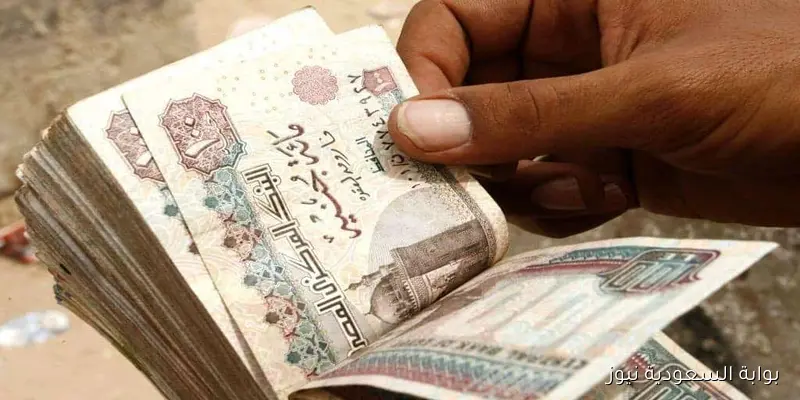 manpower.gov.eg رابط الاستعلام عن منحه المولد النبوي الشريف 2025 واهم الشروط المطلوبة