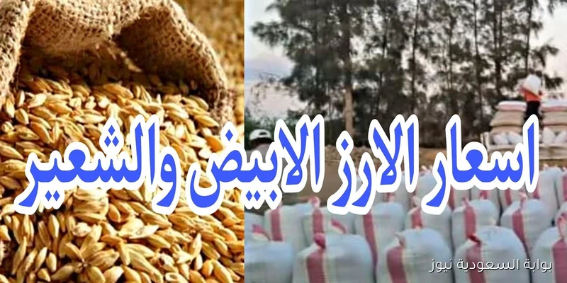 سعر الأرز الشعير الآن 2025 في السوق المحلي وأسعار السلع الغذائية
