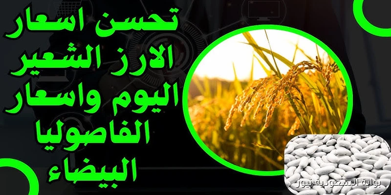 رفيع وعريض الحبة .. سعر الأرز الشعير اليوم الاحد 7 سبتمبر 2025 في الأسواق المحلية