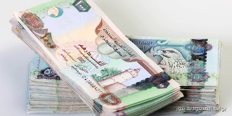 AED الآن.. سعر الدرهم الإماراتي مقابل الجنيه المصري في السوق السوداء اليوم الاثنين 1 سبتمبر 2025