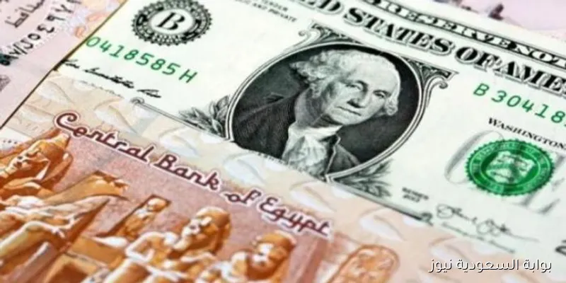 سعر الدولار اليوم الثلاثاء 2 سبتمبر 2025 مقابل الجنية المصري في البنوك المصرية والسوق السوداء
