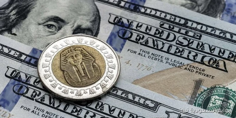 سعر الدولار اليوم امام الجنية المصري الاحد 14 سبتمبر 2025 واستقراره في البنوك المصرية