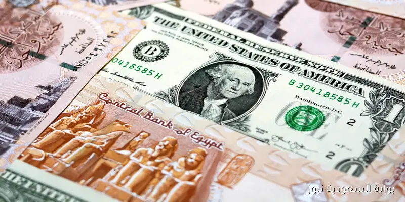 هدوء الأمريكي .. سعر الدولار في السوق السوداء اليوم الاثنين 2025/9/1 والبنوك المصرية