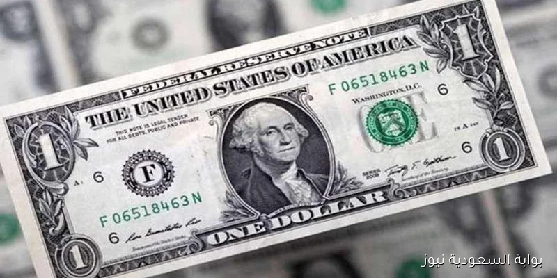 5000 دولار بكام جنيه؟ .. سعر الدولار في السوق السوداء اليوم الخميس 11 سبتمبر 2025 والبنوك