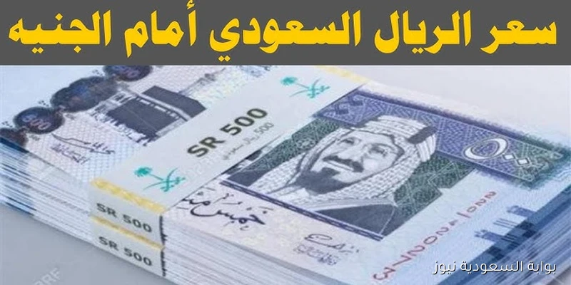 الآن سعر الريال السعودي مقابل الجنيه المصري في السوق السوداء اليوم الثلاثاء 9 سبتمبر 2025 والبنوك