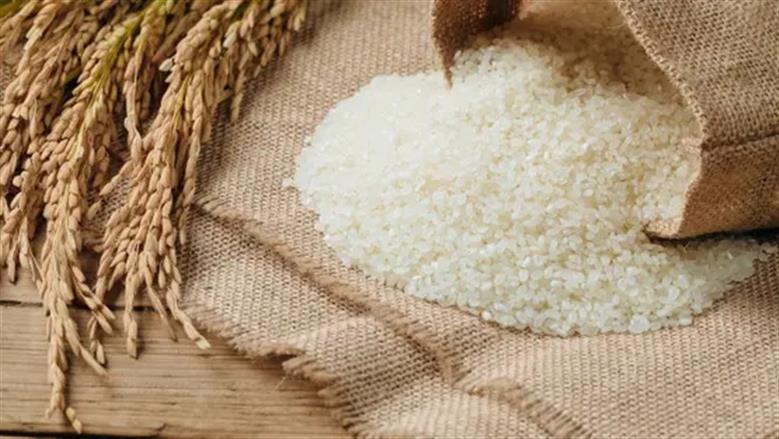 سعر طن الأرز الشعير اليوم الحميس 11 سبتمبر 2025 في الأسواق المصرية