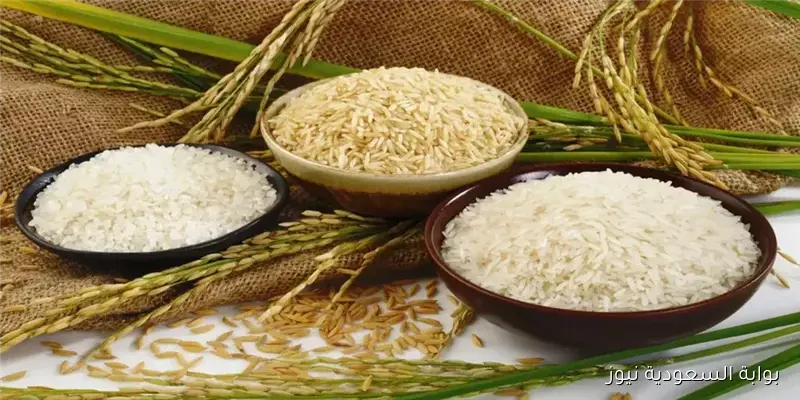 “الفلاح كسبان ولا خسران!” سعر طن الأرز الشعير اليوم السبت 6 سبتمبر 2025 في الاسوق المحلية
