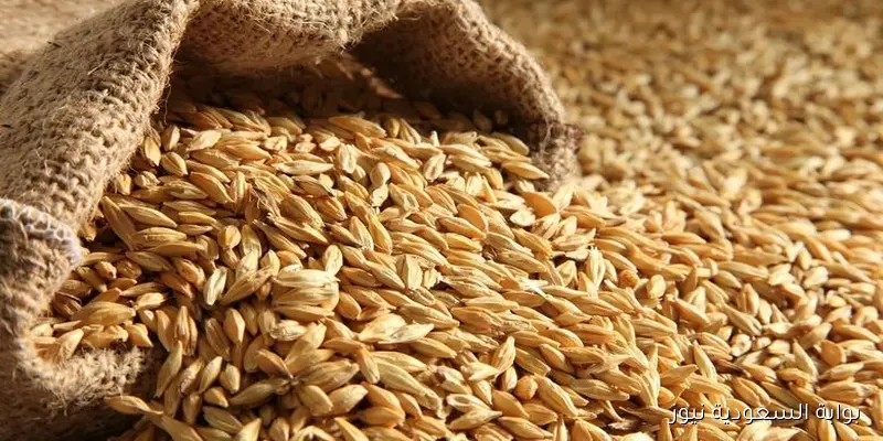 متغيرش كتير .. سعر طن الأرز الشعير اليوم الاثنين 1 سبتمبر 2025 عريض ورفيع الحبة في الأسواق