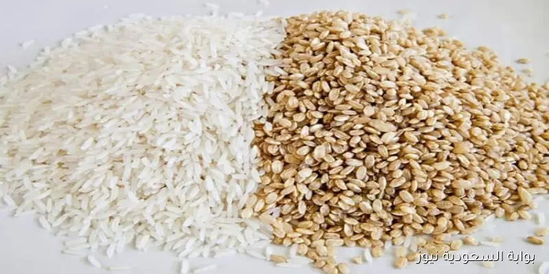 الطن بكام؟.. سعر طن الأرز الشعير اليوم الأربعاء 10 سبتمبر 2025 في السوق المصري