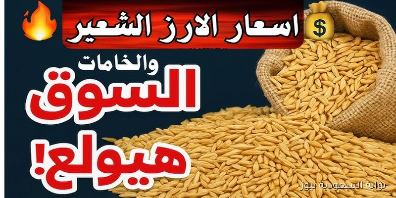 كم سعر طن الأرز الشعير اليوم الثلاثاء 2 سبتمبر 2025 في الأسواق المحلية