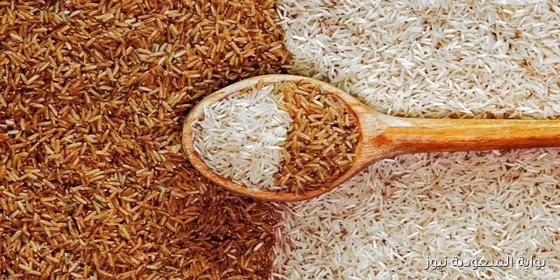 رفيع الحبة .. سعر طن الأرز الشعير اليوم الثلاثاء 2025/9/9 في الأسواق المحلية
