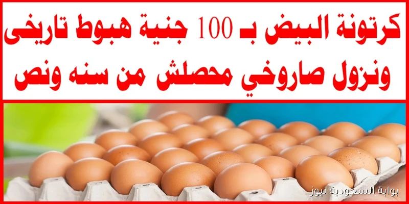 أخر تحديث .. سعر كرتونة البيض اليوم السبت 6 سبتمبر 2025 للمستهلك في الأسواق