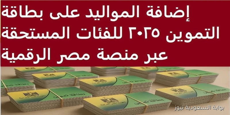 بوابة مصر الرقمية .. طريقة إضافة المواليد على بطاقة التموين 2025 والشروط اللازمة لضم الابناء
