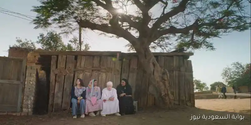 عرض فيلم «ضي» في سينما الشعب بتذكرة 40 جنيها