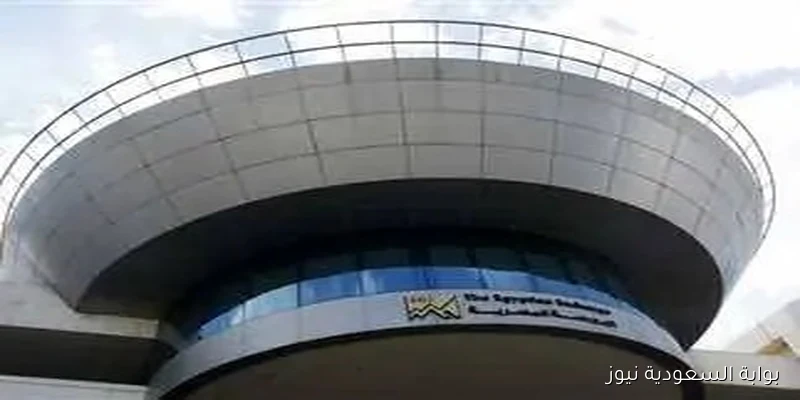 مؤشرات البورصة المصرية تحقق الاستقرار في المنطقة الخضراء حتى منتصف تعاملات الخميس
