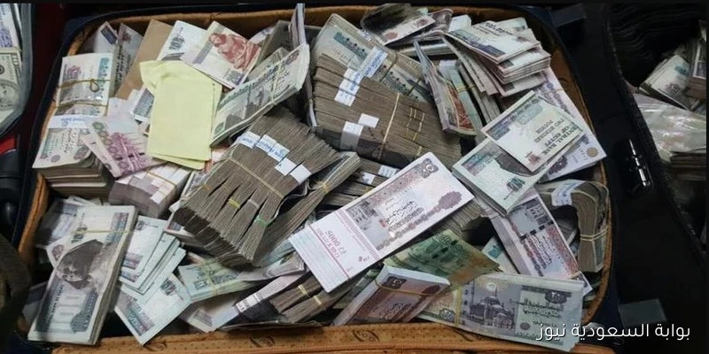أستفسر الآن .. خطوات الاستعلام عن معاشات سبتمبر 2025 لجميع المستفيدين