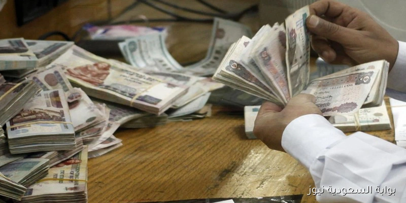 7100 جنيه.. موعد صرف مرتبات سبتمبر 2025 للعامين بالجهاز الإداري للدولة