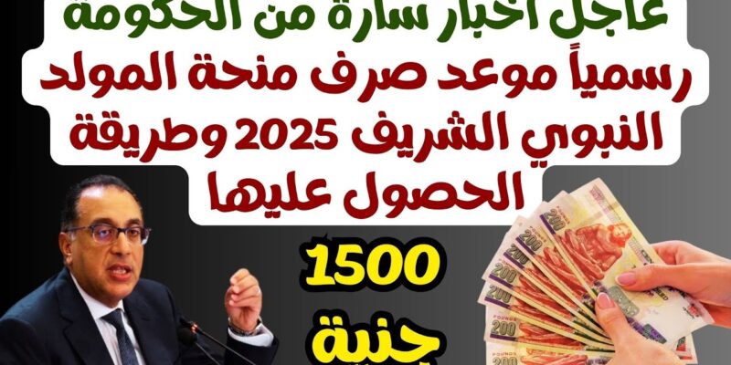 للحرفيين وعمال البناء.. موعد صرف منحة المولد النبوي الشريف 2025 للعمالة الغير منتظمة