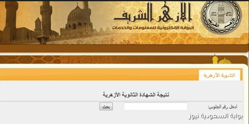 بوابة الأزهر الشريف.. نتيجه ملاحق الثانوية الازهرية 2025 الدور الثاني بالاسم ورقم الجلوس عبر الموقع الرسمي natiga.azhar.eg