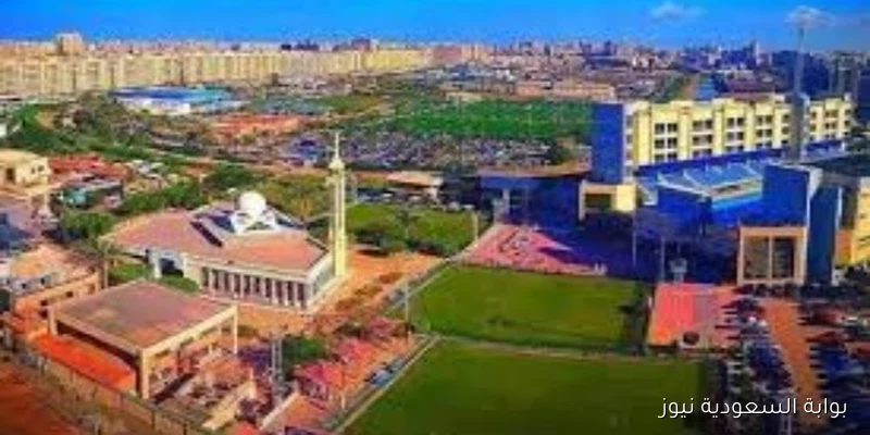 سموحة يكشف عن القائمة النهائية للمرشحين لانتخابات مجلس إدارة النادي