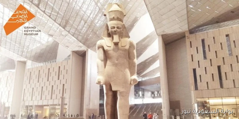 أحمد حسن: ضيوف مصر يصلون اليوم بأمان مندهشين بعظمة البلاد وقدرتها