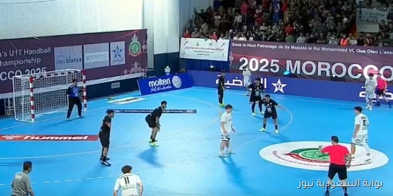 نهائي كأس العالم: ألمانيا تتعادل مع منتخب مصر لكرة اليد في اللحظات الأخيرة